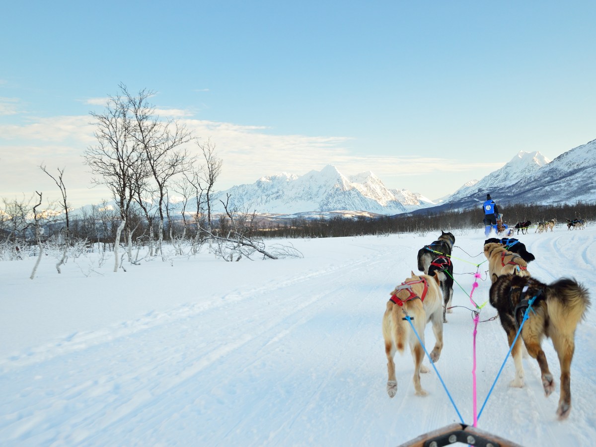 A Tromsø non c’è solo l’aurora boreale: le&nbsp;escursioni
